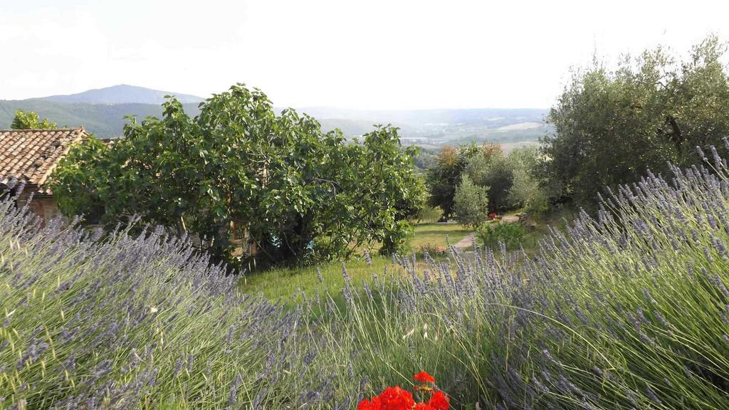 Casa Lorenzo بانيكالي المظهر الخارجي الصورة